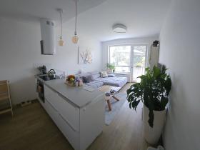 Prodej bytu 3+kk, Benešov, U Pivovaru, 65 m2