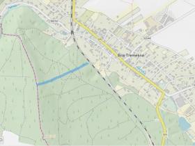 Prodej lesa, Bílá Třemešná, 7940 m2