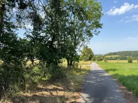 Prodej lesa, Slabčice, 2562 m2