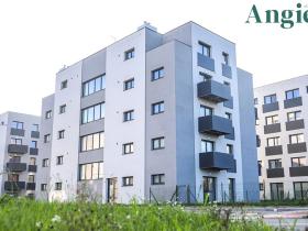 Prodej bytu 1+kk, Heřmanova Huť, U Pondu, 35 m2