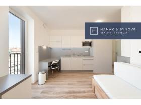 Pronájem bytu 1+kk, Brno, Křenová, 20 m2
