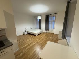 Prodej bytu 1+kk, Praha - Nové Město, Petrská, 45 m2