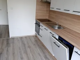 Pronájem bytu 3+1, Vratimov, U Společenského domu, 74 m2