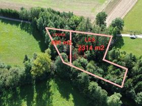 Prodej lesa, Jeřišno, 2804 m2