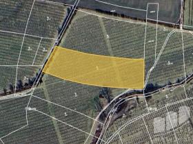 Prodej pole, Liběšice - Soběnice, 3704 m2