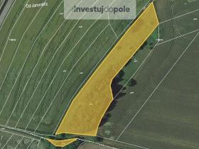 Prodej louky, Biskupice, 6604 m2