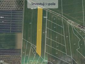 Prodej pole, Lešany - Břežany, 2012 m2