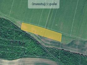 Prodej pole, Chožov - Třtěno, 5755 m2