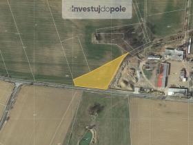 Prodej pole, Habry, 1706 m2