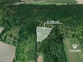 Prodej podílu lesa, Dobrovice, 2060 m2