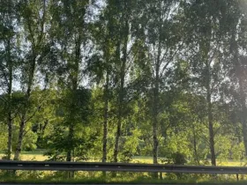 Dražba pozemku, Letovice, 1839 m2