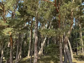 Prodej podílu pozemku, Hradiště, 3093 m2