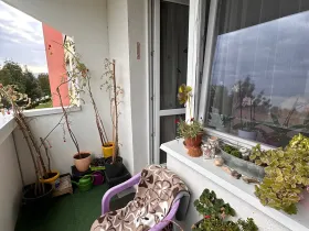 Prodej bytu 1+1, Brno, Foltýnova, 44 m2