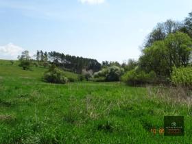 Prodej pozemku, Chýně, 12802 m2