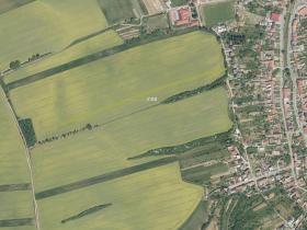 Prodej pole, Jalubí, 3737 m2