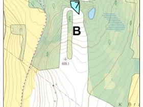Prodej lesa, Vyskytná, 665 m2