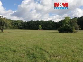 Prodej louky, Jenčice, 16692 m2