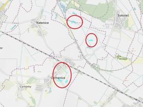 Prodej podílu louky, Cerhenice, 10056 m2