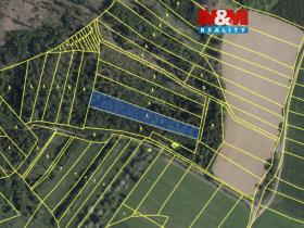 Prodej lesa, Mysletice, 7177 m2