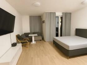 Pronájem bytu 1+kk, Praha - Žižkov, 39 m2