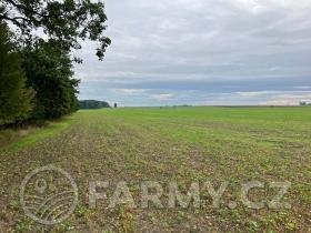 Prodej podílu pole, Dolní Roveň, 62359 m2