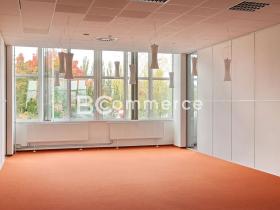 Pronájem kanceláře, Brno, Purkyňova, 100 m2