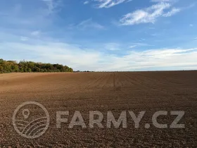 Prodej pole, Roztoky, 40596 m2