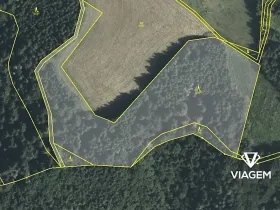 Prodej podílu lesa, Cotkytle, 2355 m2