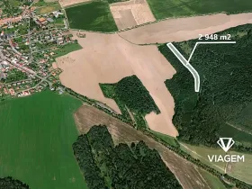 Prodej podílu lesa, Koloveč, 859 m2