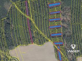 Prodej podílu lesa, Koloveč, 2599 m2