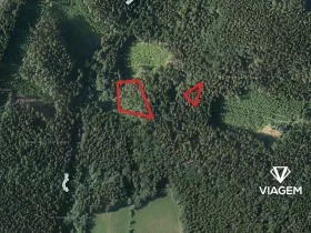 Prodej podílu lesa, Roztoky u Semil, 2737 m2