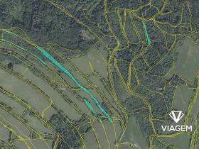 Prodej podílu lesa, Zubrnice, 2835 m2