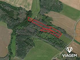 Prodej lesa, Kouty, 5020 m2