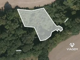 Prodej podílu lesa, Hlinka, 3418 m2