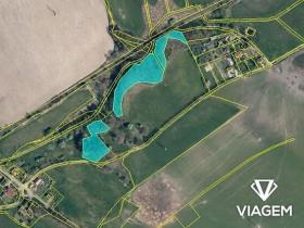 Prodej podílu lesa, Česká Lípa, 6558 m2