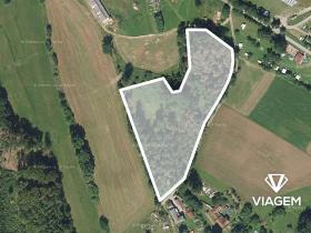 Prodej podílu lesa, Světlá nad Sázavou, 5589 m2