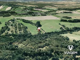 Prodej pole, Dolní Žandov, 1924 m2