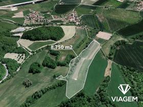 Prodej podílu pole, Velemín, 8749 m2