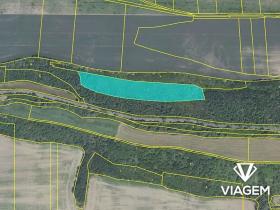 Prodej podílu lesa, Dřetovice, 3036 m2