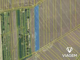 Prodej podílu sadu/vinice, Labuty, 450 m2