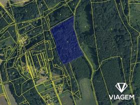 Prodej podílu lesa, Doubrava, 1081 m2