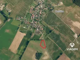 Prodej podílu pole, Horušice, 2040 m2