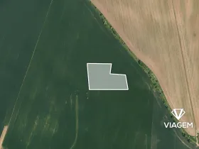 Prodej pole, Vinařice, 10484 m2