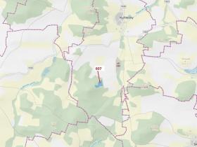 Dražba lesa, Kuřimany, 10437 m2