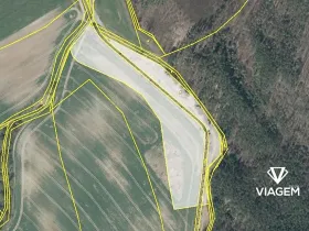 Prodej podílu pole, Jestřebí, 6859 m2