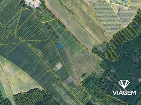 Prodej pole, Hovorany, 1475 m2