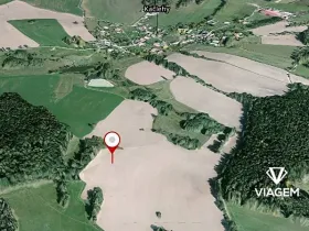 Prodej lesa, Kačlehy, 5447 m2