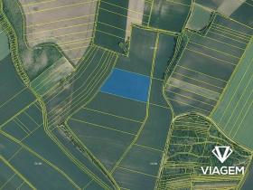 Prodej podílu pole, Syrovice, 1177 m2