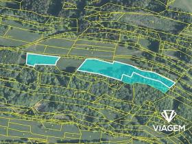 Prodej podílu pole, Lidečko, 4361 m2