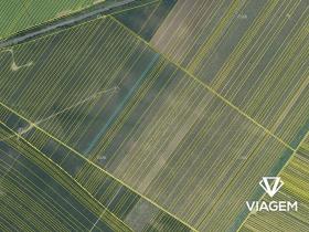 Prodej podílu pole, Moravská Nová Ves, 552 m2